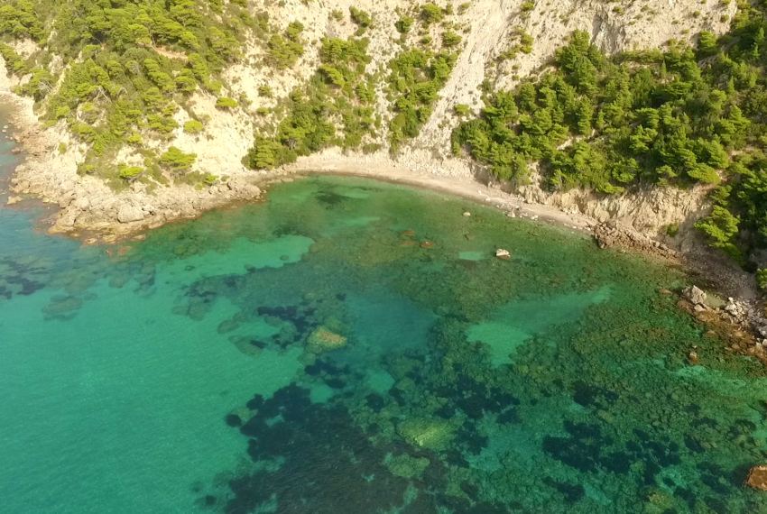 vlcsnap-2018-02-06-10h48m20s661-1