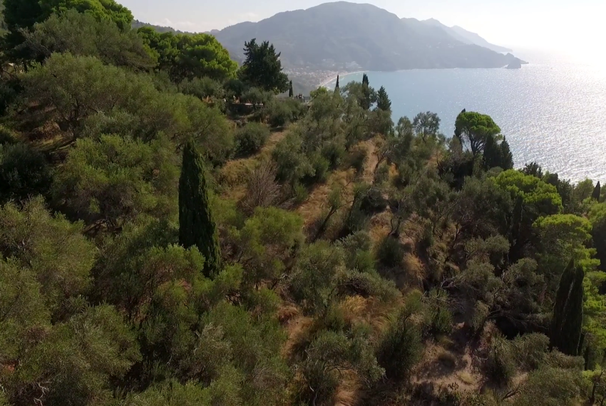 vlcsnap-2018-02-07-09h01m56s932