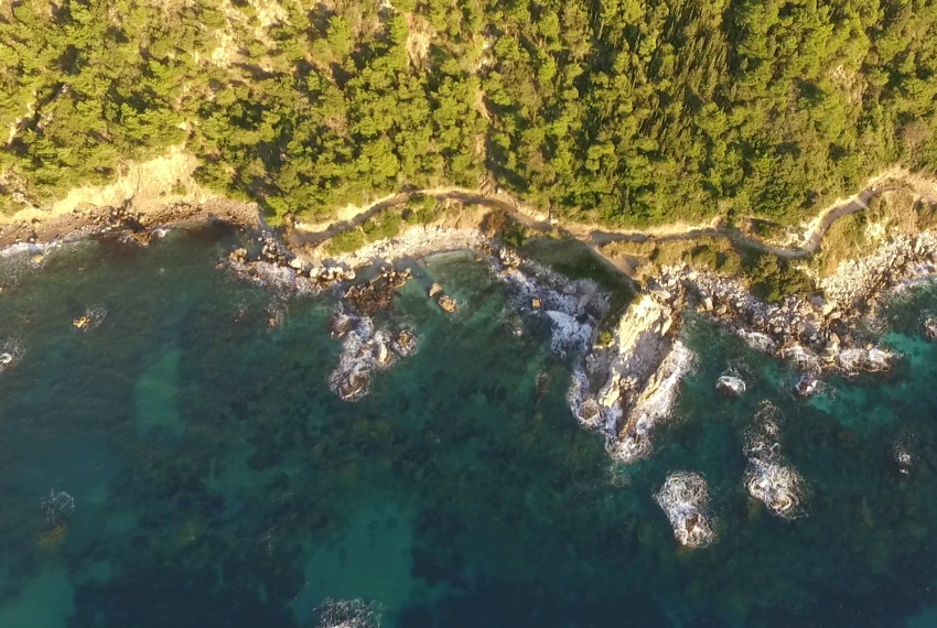 vlcsnap-2018-02-07-09h02m15s801 (1)