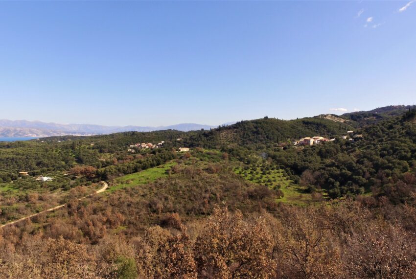 DCIM100MEDIADJI_0901.JPG