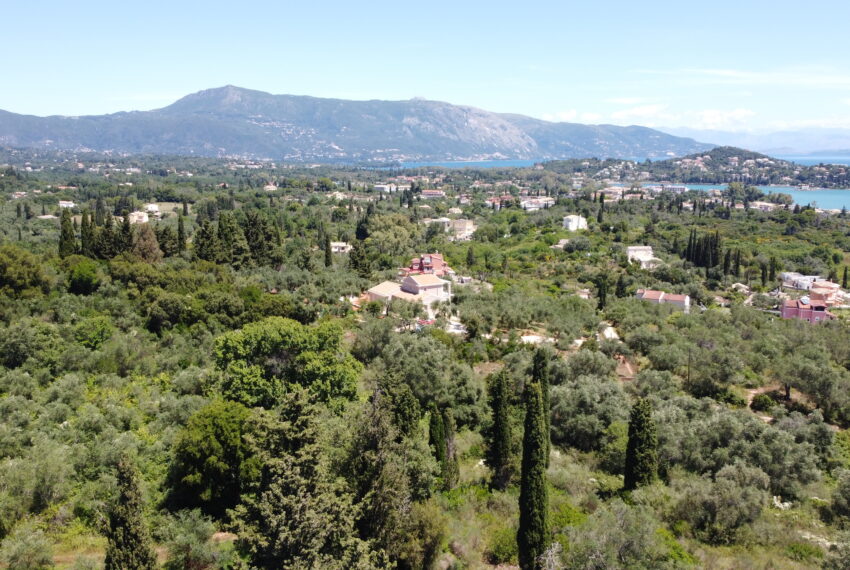 DCIM101MEDIADJI_0058.JPG