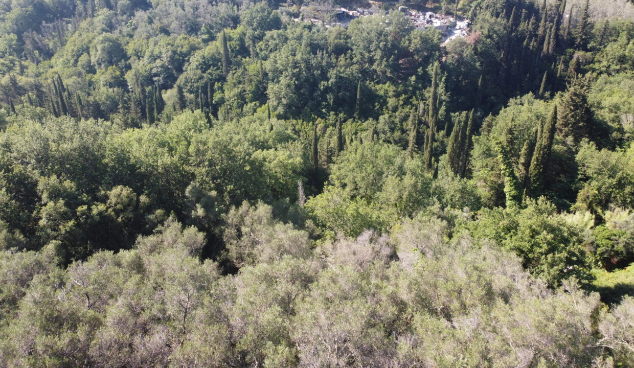 DCIM100MEDIADJI_0727.JPG