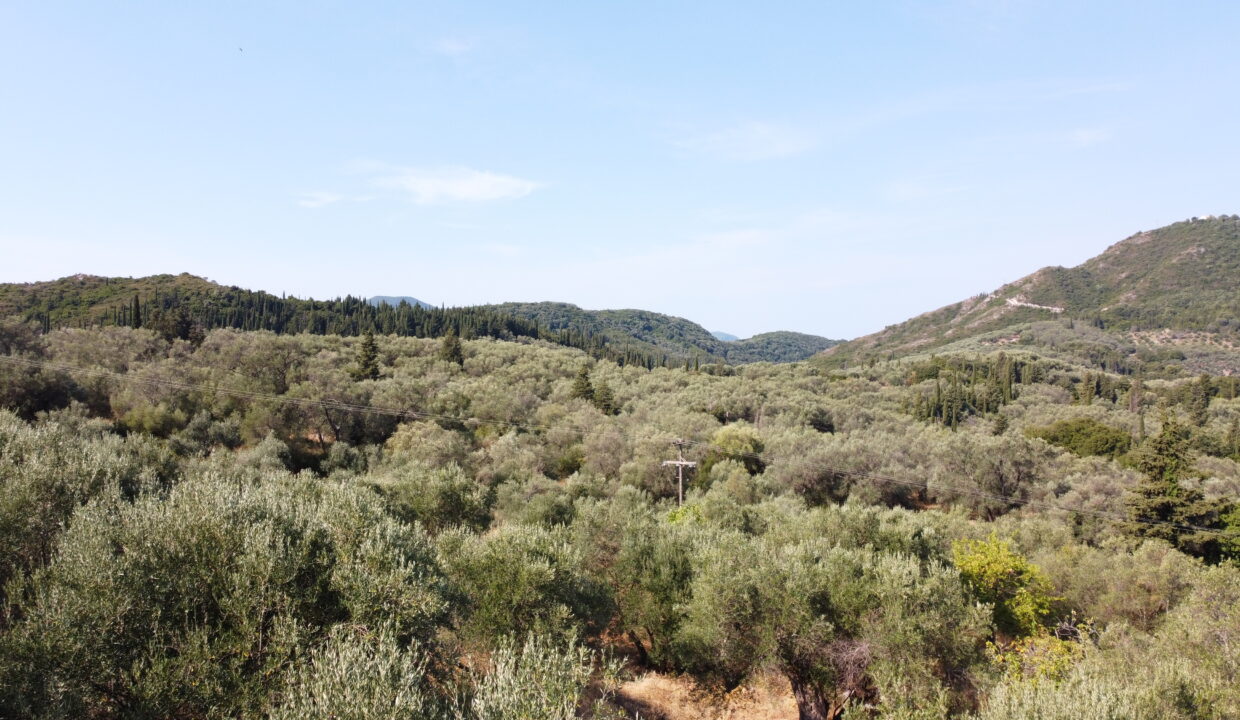 DCIM100MEDIADJI_0802.JPG