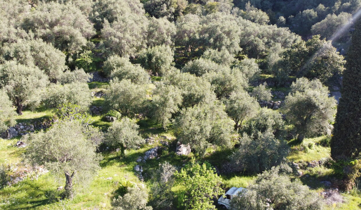 DCIM100MEDIADJI_0438.JPG
