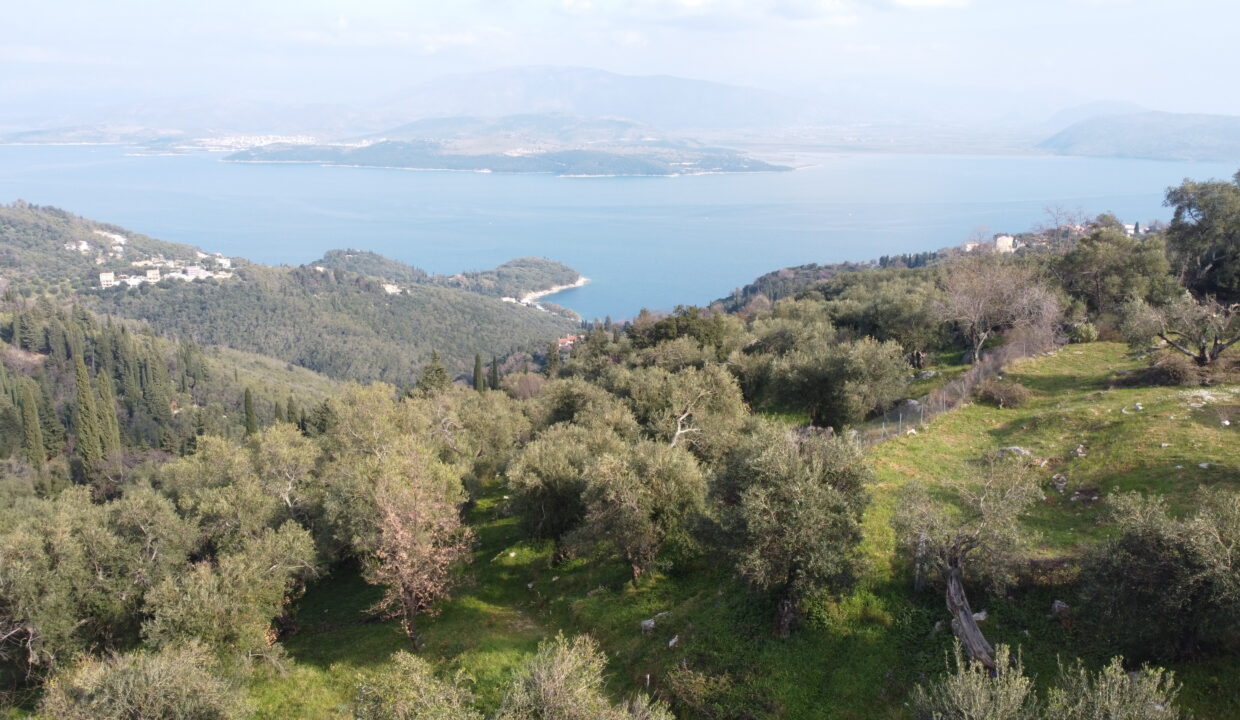 DCIM101MEDIADJI_0560.JPG