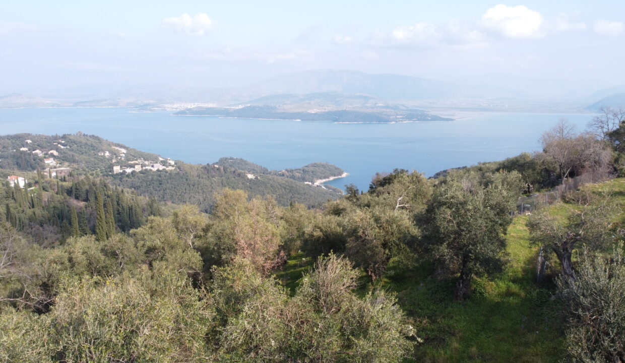 DCIM101MEDIADJI_0562.JPG